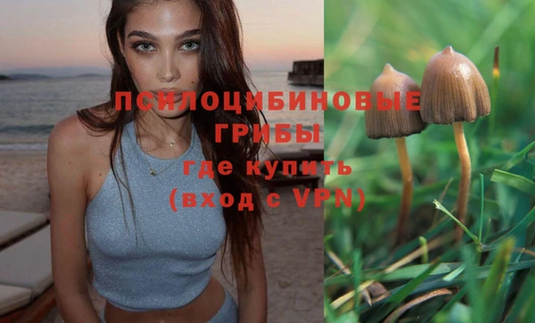 МДПВ Ростов